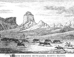 "Indians Chasing Buffaloes"