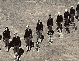 WWII K-9 Soldiers and dogs in V-Formation at Fort Robinson