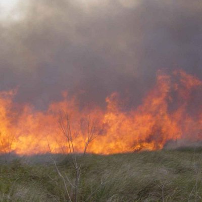 photo of a prairie fire 0801_0781
