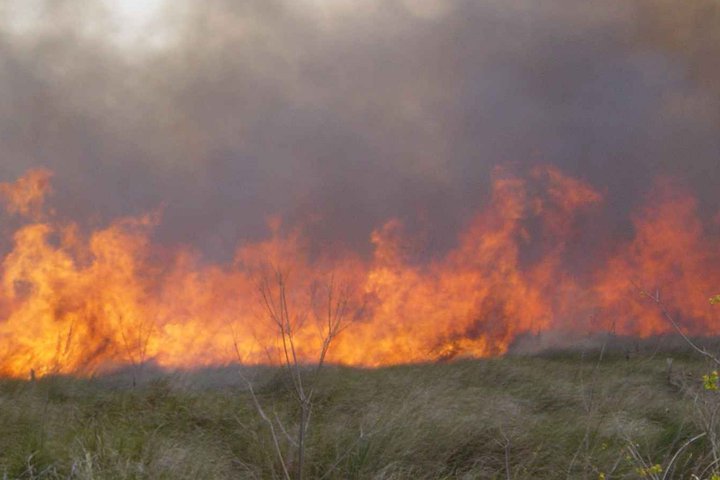 photo of a prairie fire 0801_0781